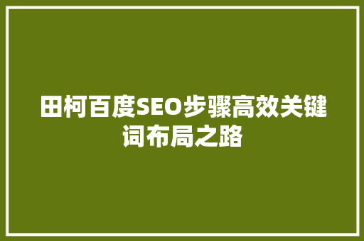 田柯百度SEO步骤高效关键词布局之路