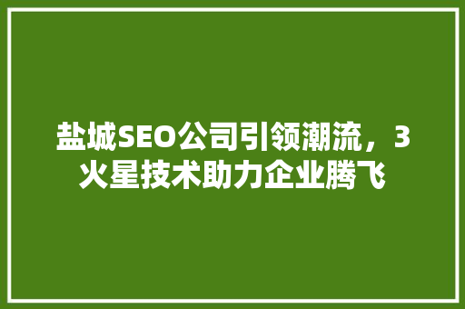 盐城SEO公司引领潮流，3火星技术助力企业腾飞