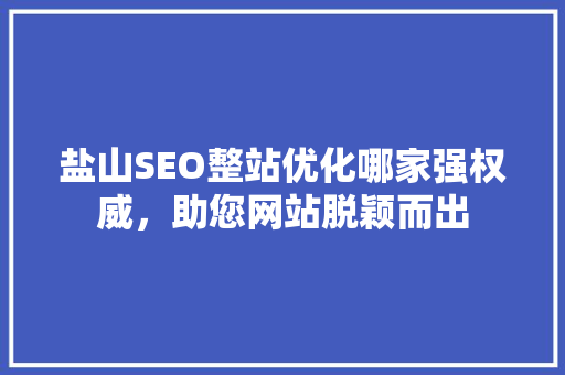 盐山SEO整站优化哪家强权威，助您网站脱颖而出