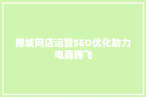 禅城网店运营SEO优化助力电商腾飞  第1张