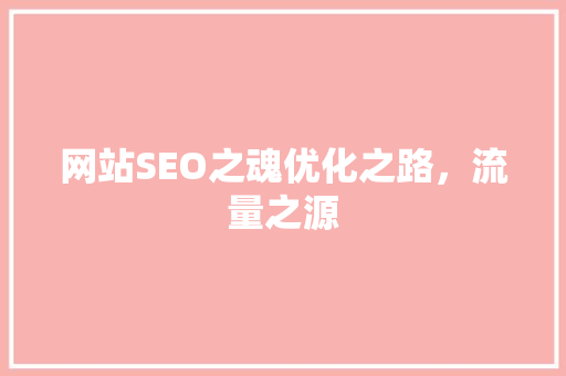 网站SEO之魂优化之路，流量之源