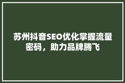 苏州抖音SEO优化掌握流量密码，助力品牌腾飞