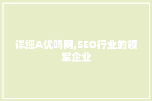 详细A优鸣网,SEO行业的领军企业
