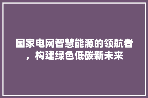 国家电网智慧能源的领航者，构建绿色低碳新未来