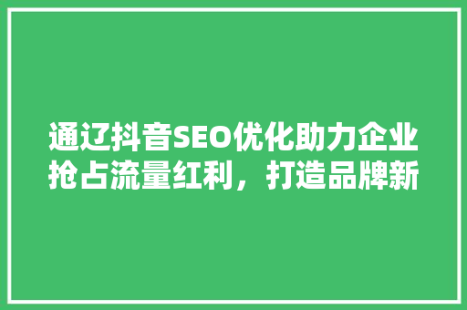 通辽抖音SEO优化助力企业抢占流量红利，打造品牌新高度