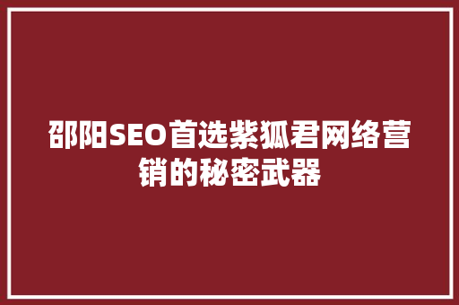 邵阳SEO首选紫狐君网络营销的秘密武器
