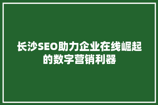 长沙SEO助力企业在线崛起的数字营销利器