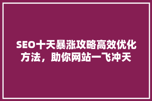 SEO十天暴涨攻略高效优化方法，助你网站一飞冲天