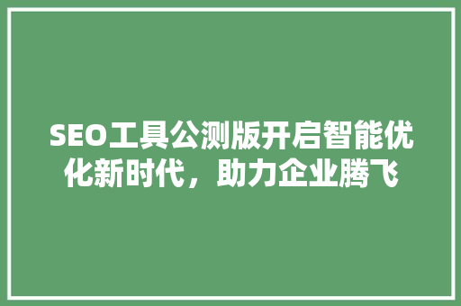 SEO工具公测版开启智能优化新时代，助力企业腾飞