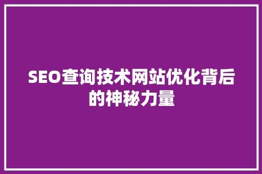 SEO查询技术网站优化背后的神秘力量
