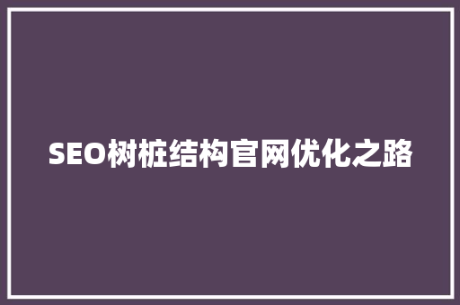 SEO树桩结构官网优化之路