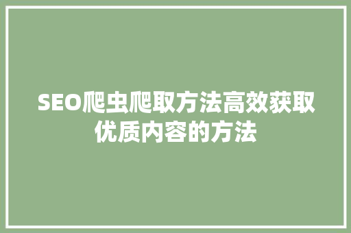 SEO爬虫爬取方法高效获取优质内容的方法