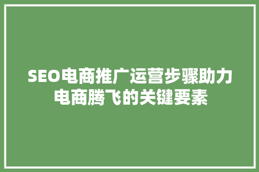 SEO电商推广运营步骤助力电商腾飞的关键要素