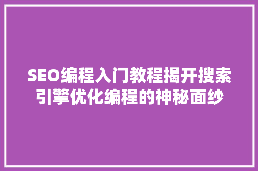 SEO编程入门教程揭开搜索引擎优化编程的神秘面纱