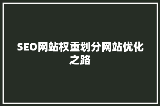 SEO网站权重划分网站优化之路