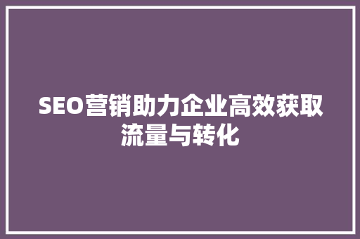 SEO营销助力企业高效获取流量与转化