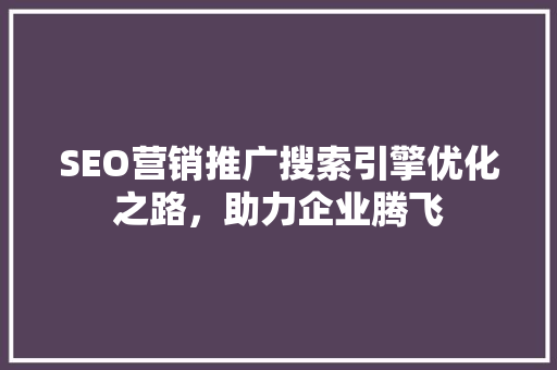 SEO营销推广搜索引擎优化之路，助力企业腾飞