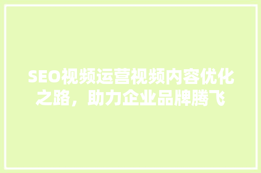 SEO视频运营视频内容优化之路，助力企业品牌腾飞
