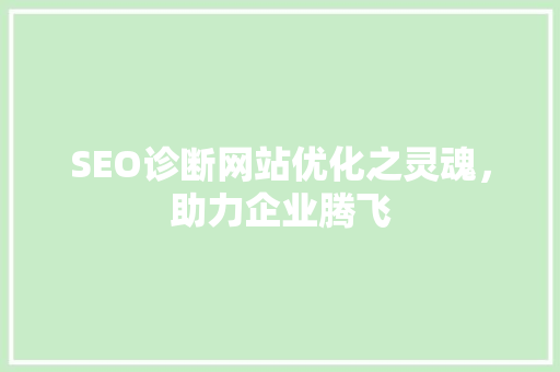 SEO诊断网站优化之灵魂，助力企业腾飞