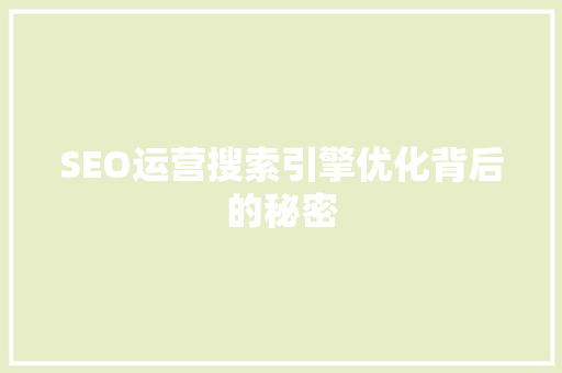 SEO运营搜索引擎优化背后的秘密