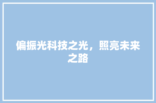 偏振光科技之光，照亮未来之路
