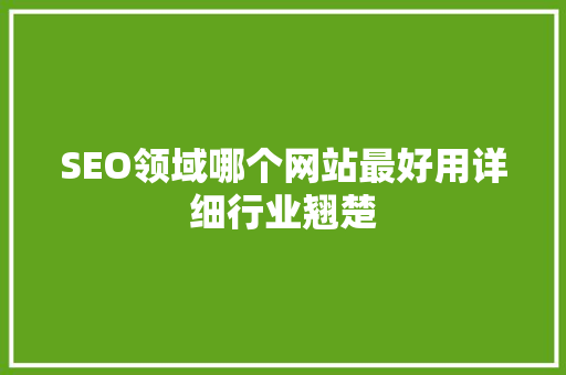 SEO领域哪个网站最好用详细行业翘楚