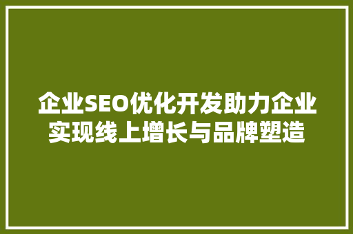 企业SEO优化开发助力企业实现线上增长与品牌塑造