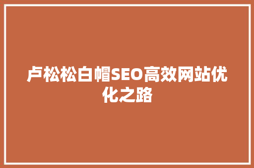 卢松松白帽SEO高效网站优化之路