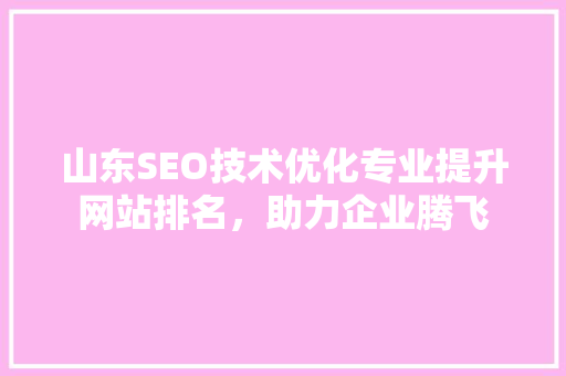 山东SEO技术优化专业提升网站排名，助力企业腾飞