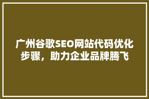 广州谷歌SEO网站代码优化步骤，助力企业品牌腾飞