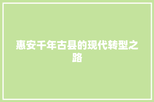 惠安千年古县的现代转型之路