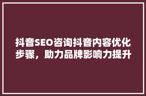 抖音SEO咨询抖音内容优化步骤，助力品牌影响力提升