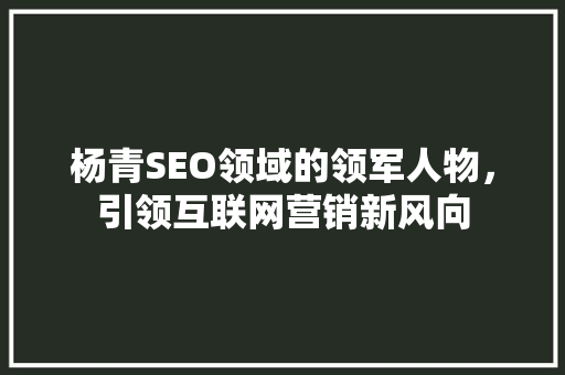 杨青SEO领域的领军人物，引领互联网营销新风向
