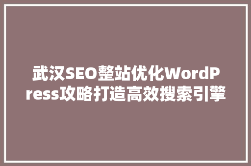 武汉SEO整站优化WordPress攻略打造高效搜索引擎排名步骤