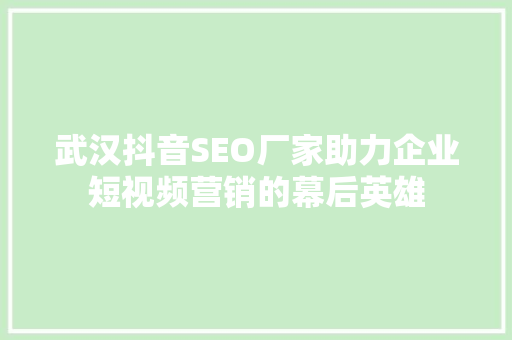 武汉抖音SEO厂家助力企业短视频营销的幕后英雄