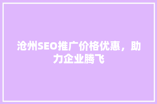 沧州SEO推广价格优惠，助力企业腾飞