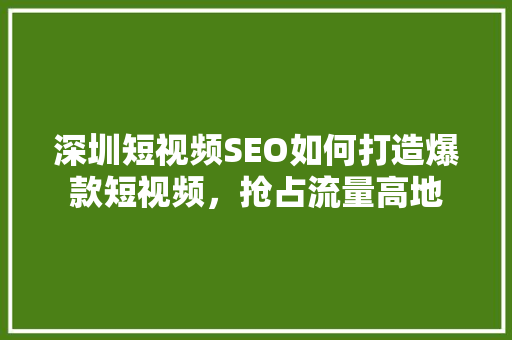 深圳短视频SEO如何打造爆款短视频，抢占流量高地