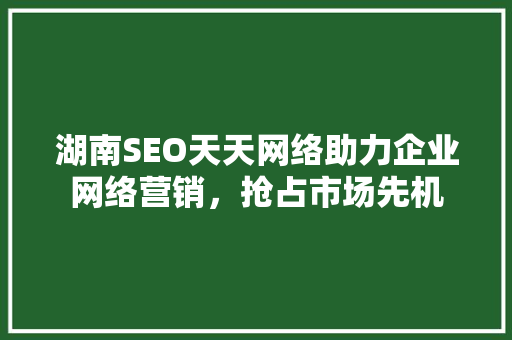 湖南SEO天天网络助力企业网络营销，抢占市场先机