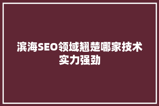 滨海SEO领域翘楚哪家技术实力强劲