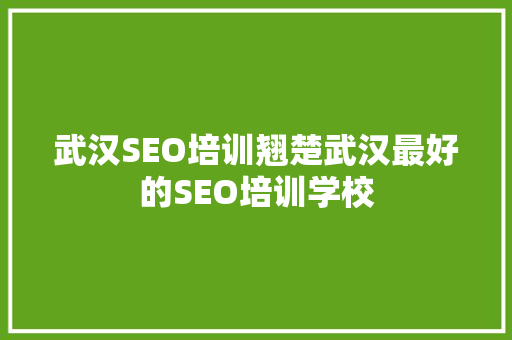 武汉SEO培训翘楚武汉最好的SEO培训学校