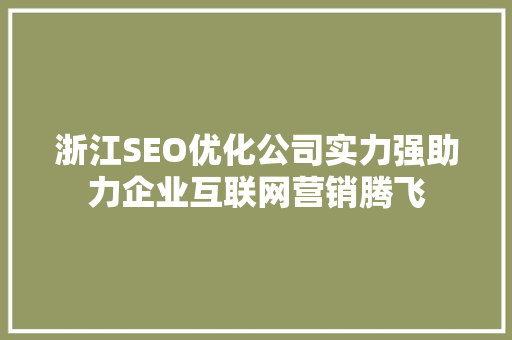 浙江SEO优化公司实力强助力企业互联网营销腾飞