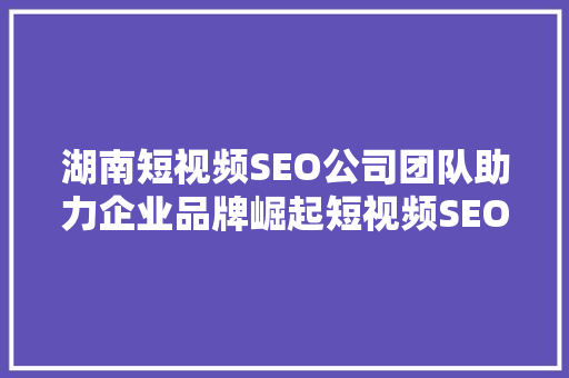 湖南短视频SEO公司团队助力企业品牌崛起短视频SEO步骤与实战方法