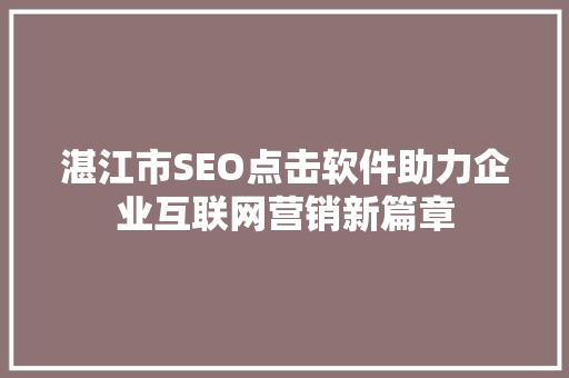 湛江市SEO点击软件助力企业互联网营销新篇章