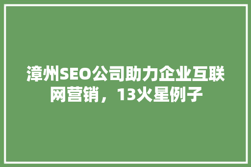 漳州SEO公司助力企业互联网营销，13火星例子