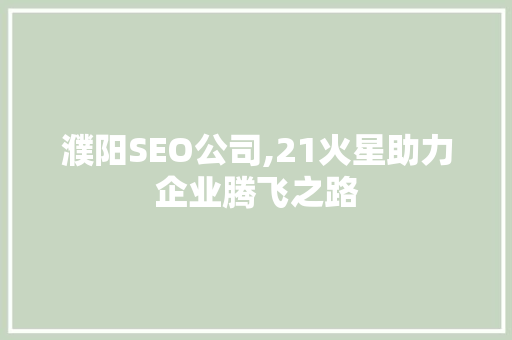 濮阳SEO公司,21火星助力企业腾飞之路