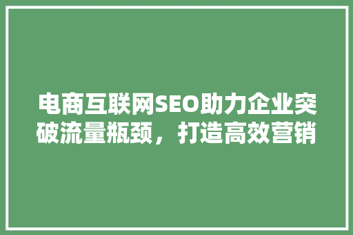 电商互联网SEO助力企业突破流量瓶颈，打造高效营销步骤