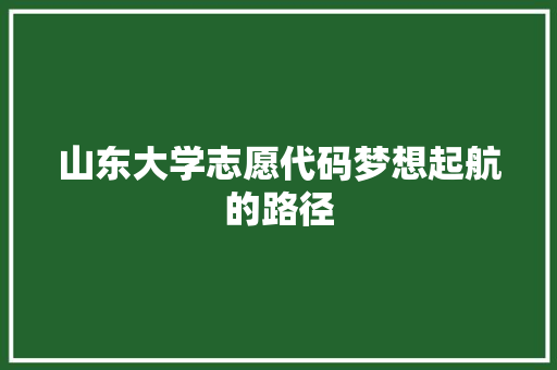 山东大学志愿代码梦想起航的路径