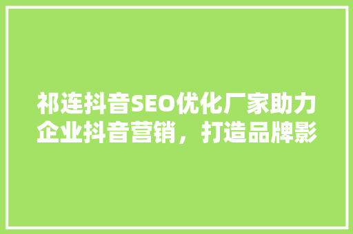 祁连抖音SEO优化厂家助力企业抖音营销，打造品牌影响力