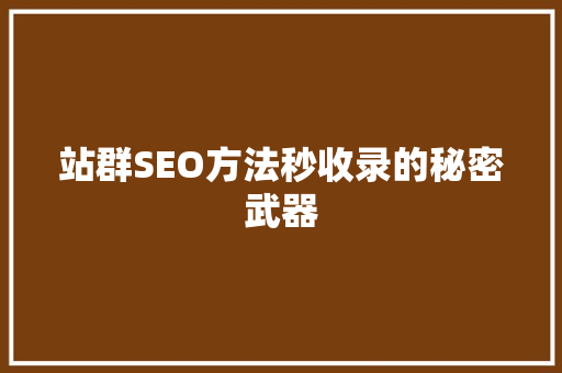 站群SEO方法秒收录的秘密武器