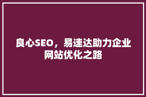 良心SEO，易速达助力企业网站优化之路